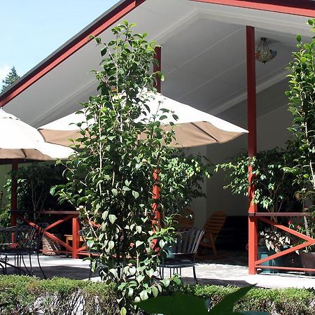 Cielito Sur Bed & Breakfast Inn Cerro Punta Dış mekan fotoğraf