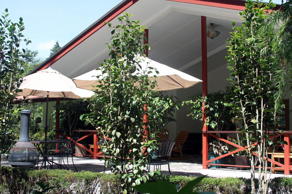 Cielito Sur Bed & Breakfast Inn Cerro Punta Dış mekan fotoğraf