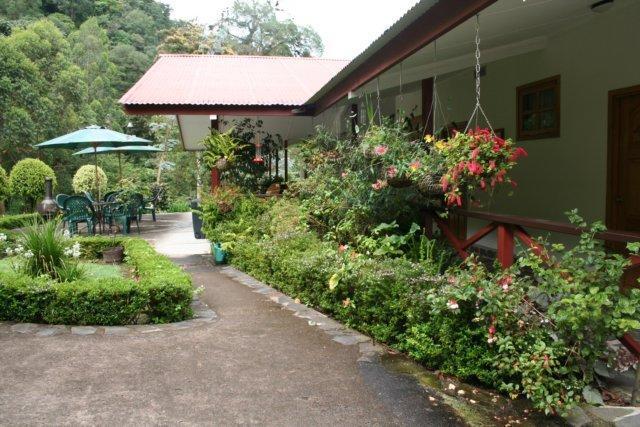 Cielito Sur Bed & Breakfast Inn Cerro Punta Dış mekan fotoğraf